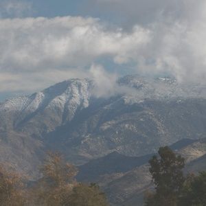 Meet your Posher, Ricky